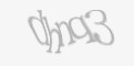 Қорғаныс коды